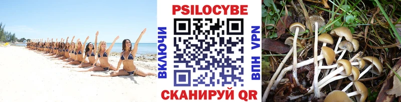 Купить закладки  Касимов  Галлюциногенные грибы GOLDEN TEACHER 